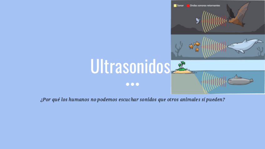 Miniatura del documento Ultrasonidos-presentacion.pdf