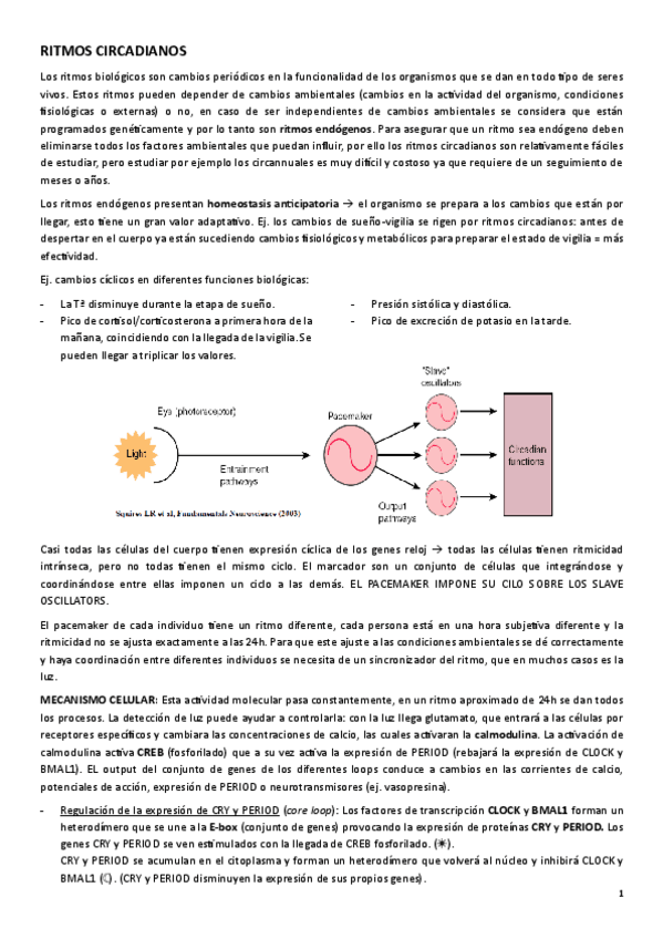 Miniatura del documento APUNTES-FC-RITMOS.pdf