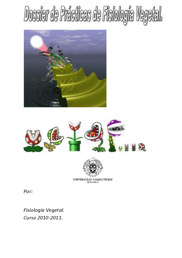 Miniatura del documento FINAL.pdf