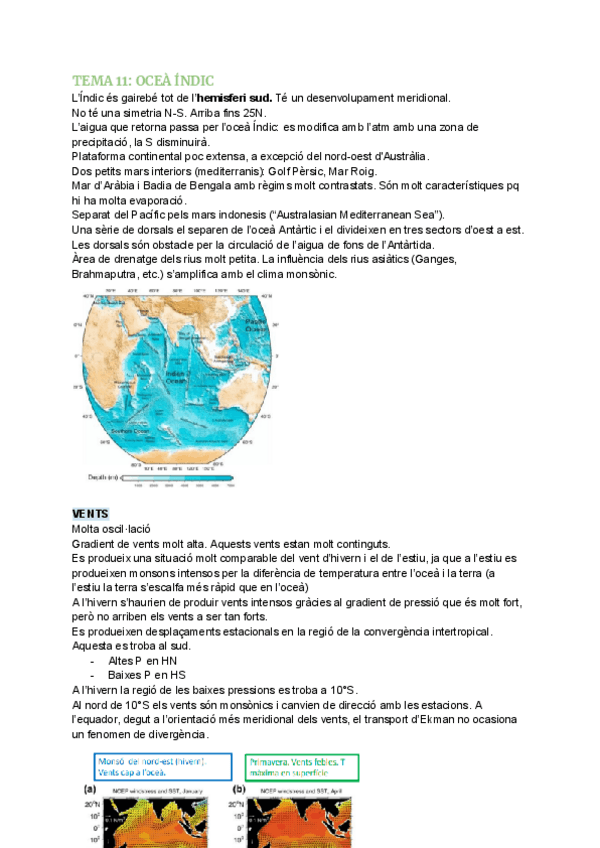 Miniatura del documento TEMA-11-OCEA-INDIC.pdf