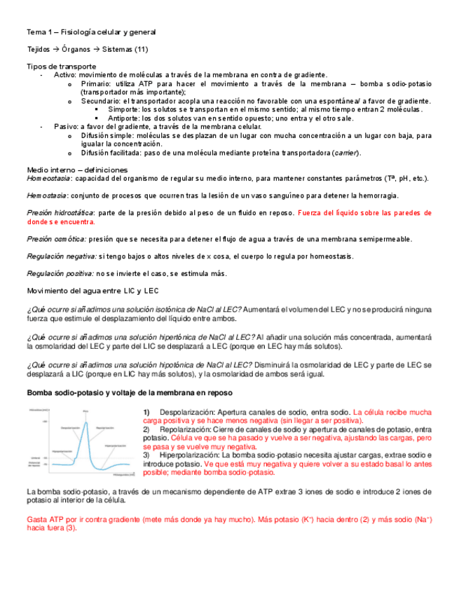 Miniatura del documento Puntos-importantes-Fisiologia.pdf