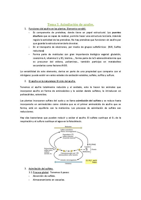 Miniatura del documento Tema 3.pdf