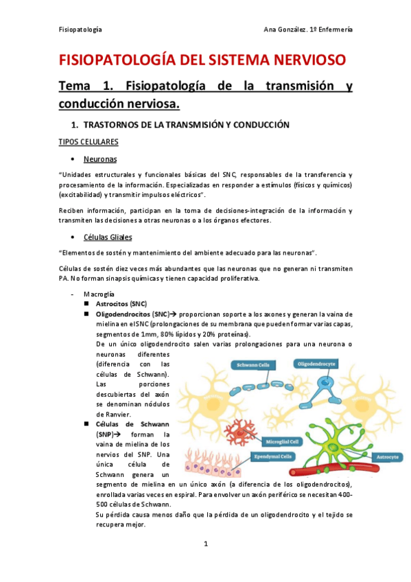 Miniatura del documento Fisiopatologia-del-Sistema-Nervioso.pdf