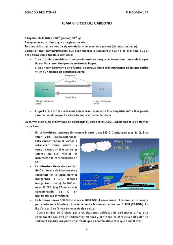 Miniatura del documento TEMA-8.-CICLO-DEL-CARBONO.pdf