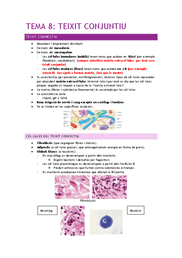 Miniatura del documento TEMA-8-TEIXIT-CONJUNTIU.pdf