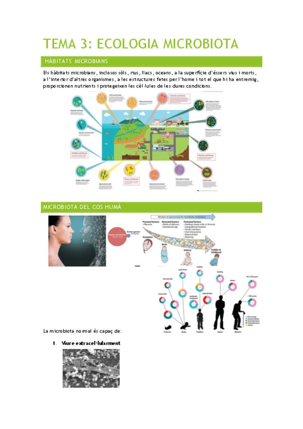 Miniatura del documento TEMA-3-ECOLOGIA-MICROBIOTA-MICROBIO.pdf