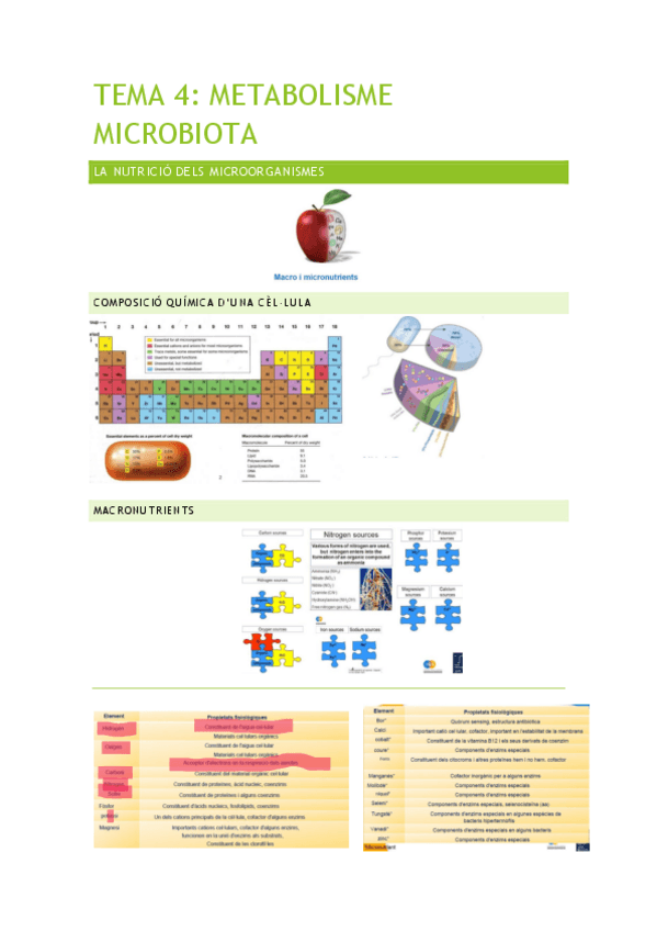 Miniatura del documento TEMA-4-METABOLISME-MICROBIO.pdf