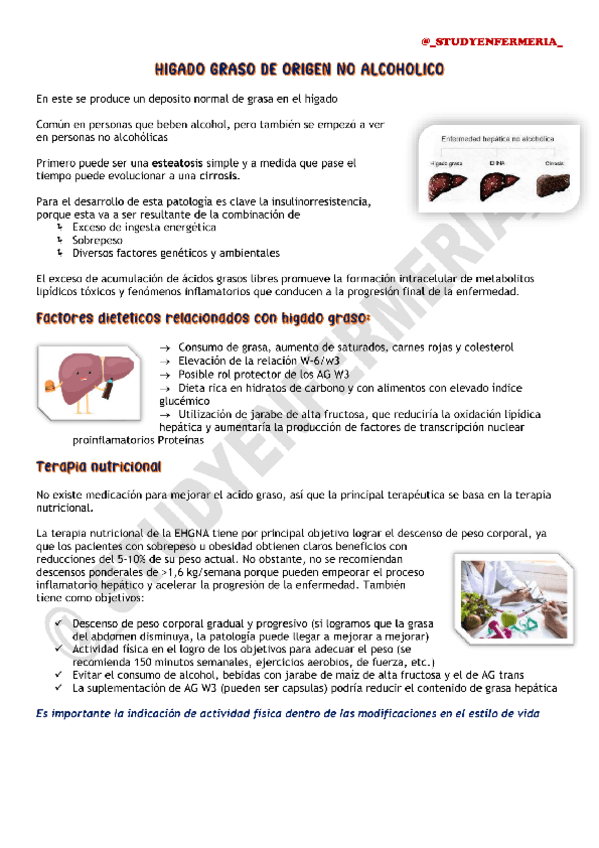 Miniatura del documento HIGADO-GRASO-DE-ORIGEN-NO-ALCOHOLICO-DIETOTERAPIA.pdf