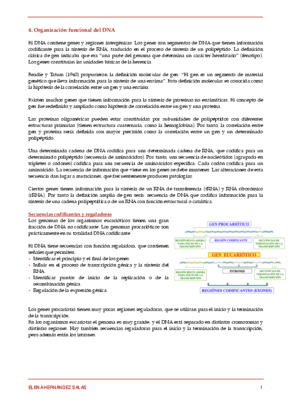 Miniatura del documento 4. Organización funcional del DNA.pdf
