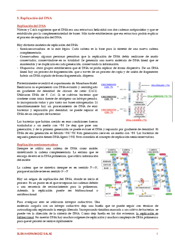 Miniatura del documento 5. Replicación del DNA.pdf