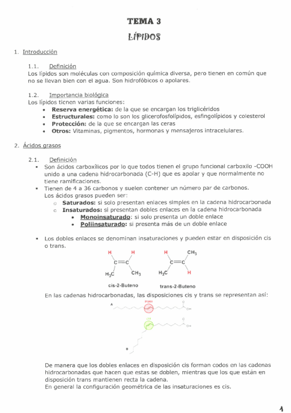 Miniatura del documento TEMA-3-LIPIDOS.pdf