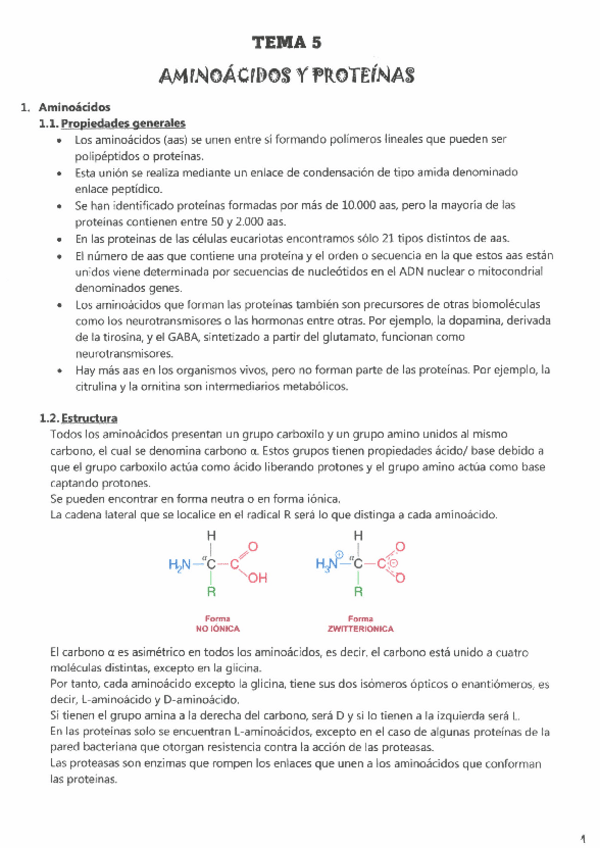 Miniatura del documento TEMA-5-AMINOACIDOS-Y-PROTEINAS.pdf