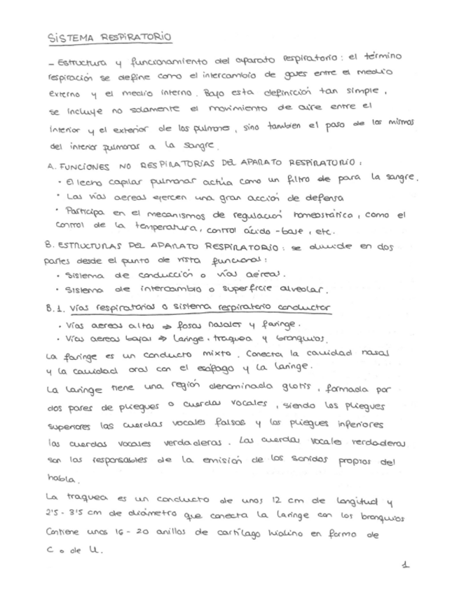 Miniatura del documento SISTEMA-RESPIRATORIO.pdf