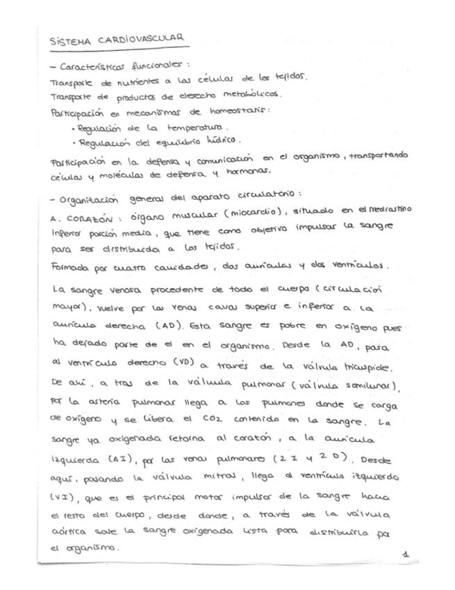 Miniatura del documento SISTEMA-CARDIOVASCULAR.pdf