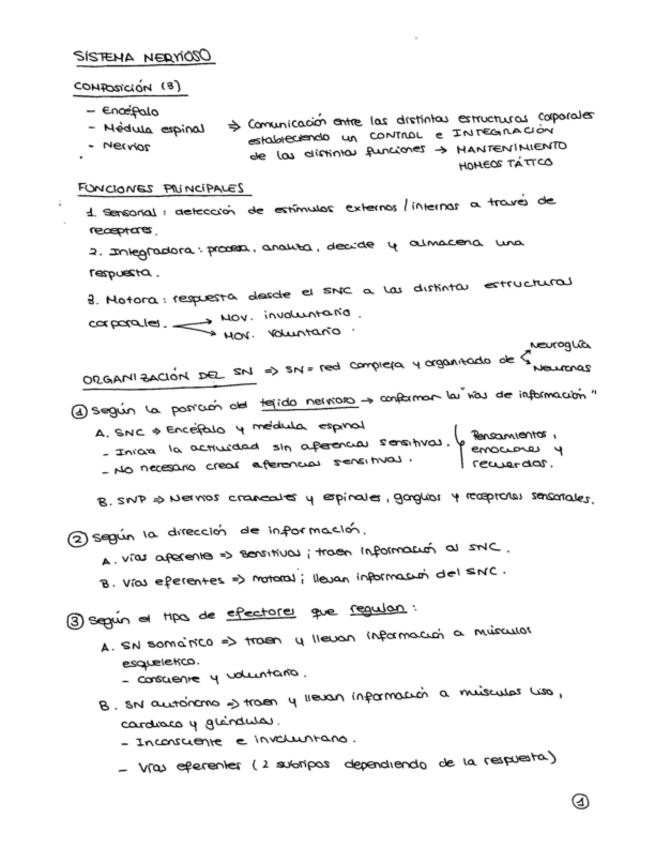 Miniatura del documento Sistema-nervioso.pdf