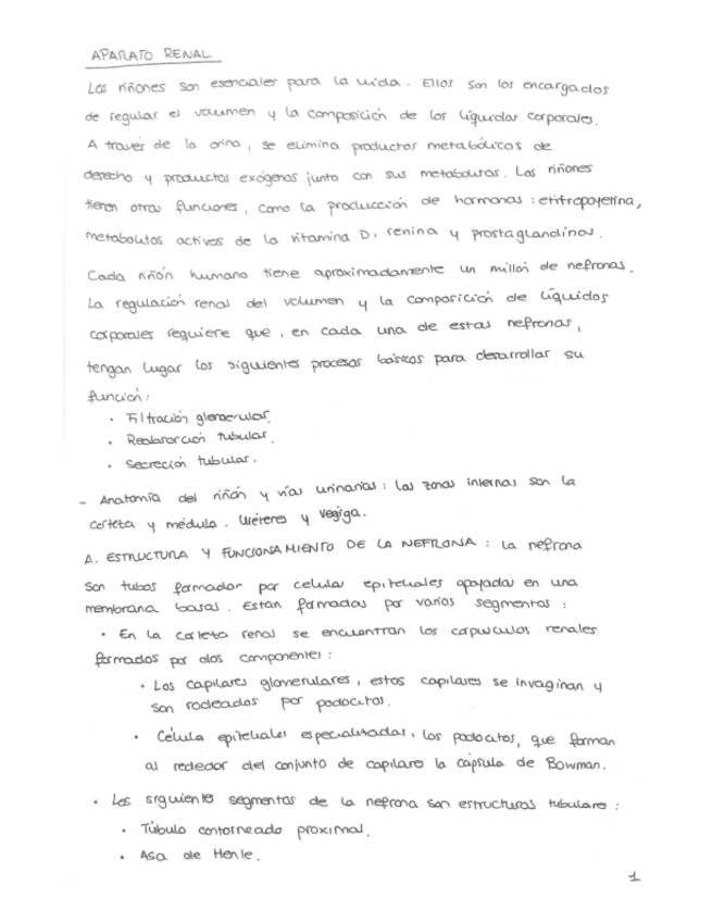 Miniatura del documento SISTEMA-RENAL.pdf