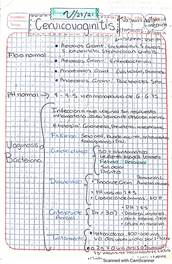Miniatura del documento vaginosis-bacteriana.pdf