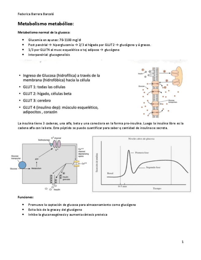 Miniatura del documento Metabolismo-diabetes-gota-amiloidosis.pdf