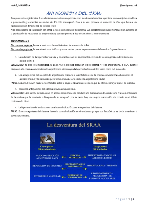 Miniatura del documento ANTAGONISTA-DEL-SRAA.pdf