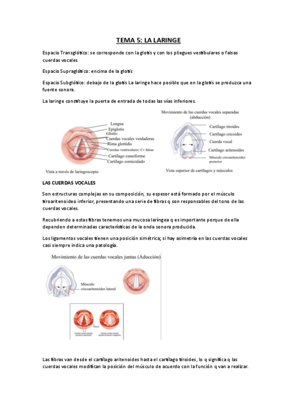 Miniatura del documento APUNTES-FISIOLOGIA-MODULO-3.-TEMA-5.pdf