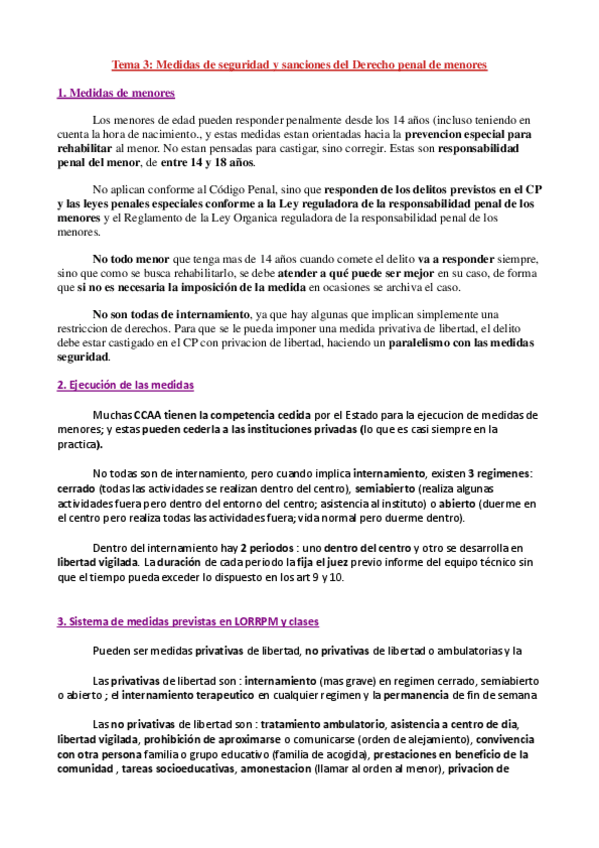 Miniatura del documento Tema-3-Medidas-de-seguridad-y-menores.pdf