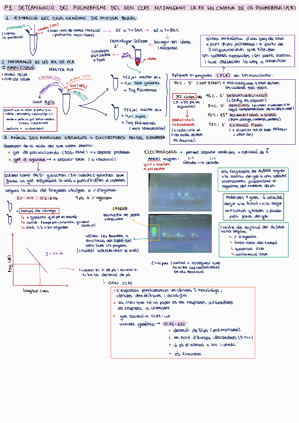 Miniatura del documento Resum-examen-practiques.pdf