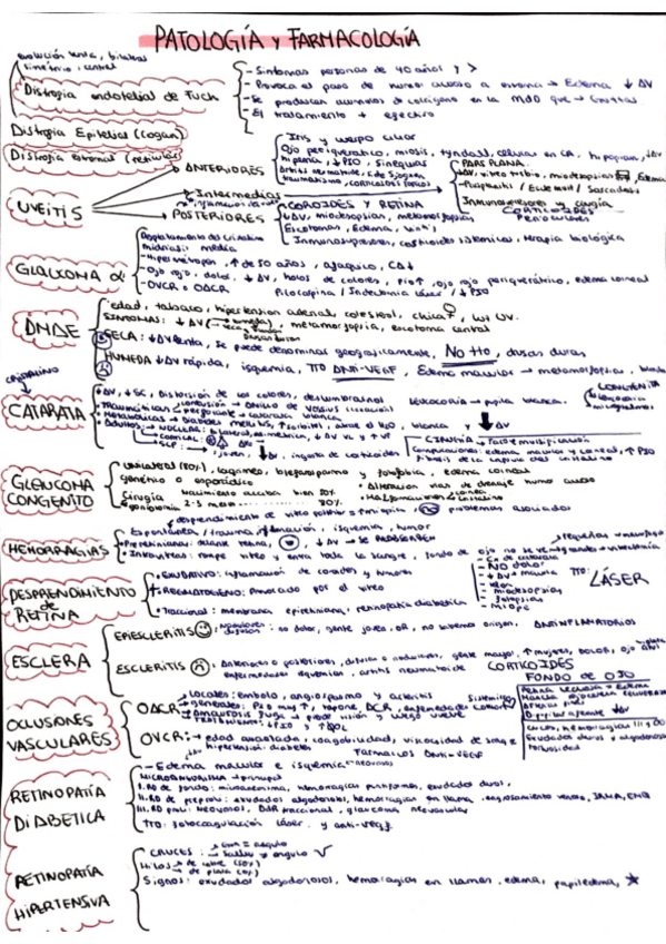 Miniatura del documento Resumen-Pato-y-farma.pdf