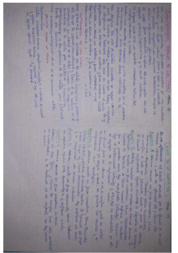 Miniatura del documento MICRO-2o-parcial.pdf