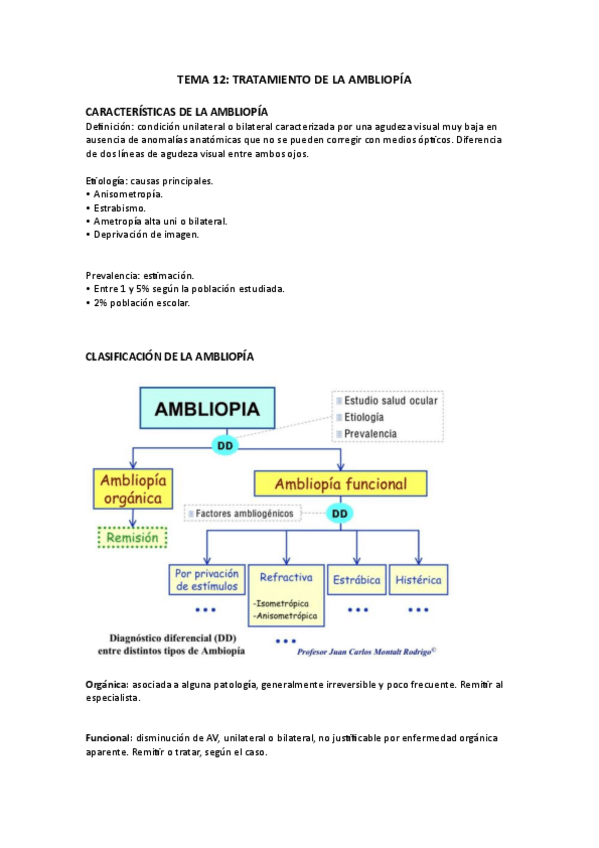 Miniatura del documento TEMA-12-BAJA-VISION.pdf