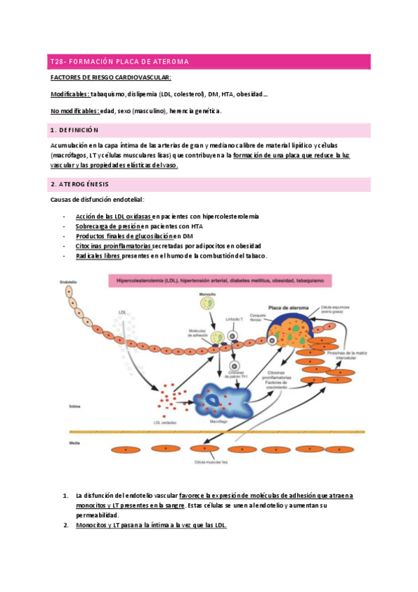 Miniatura del documento T28-FORMACION-PLACA-ATEROMA.pdf