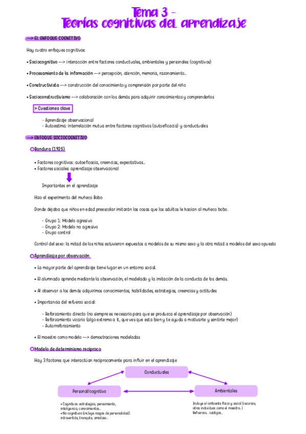 Miniatura del documento Apuntes-Tema-3-Teorias-Cognitivas-Del-Aprendizaje.pdf
