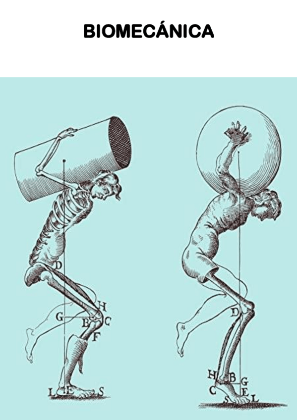 Miniatura del documento Biomecánica.pdf
