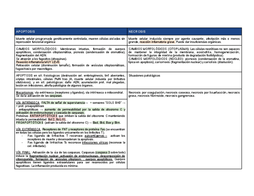 Miniatura del documento APOPTOSIS-y-NECROSIS.pdf