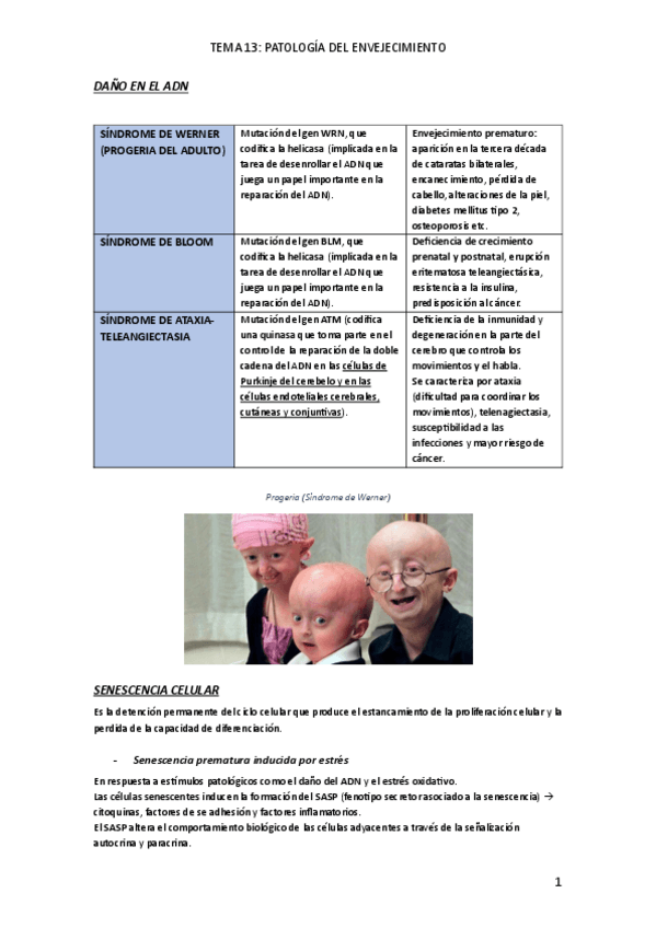 Miniatura del documento T13.Patologia-del-crecimiento.pdf