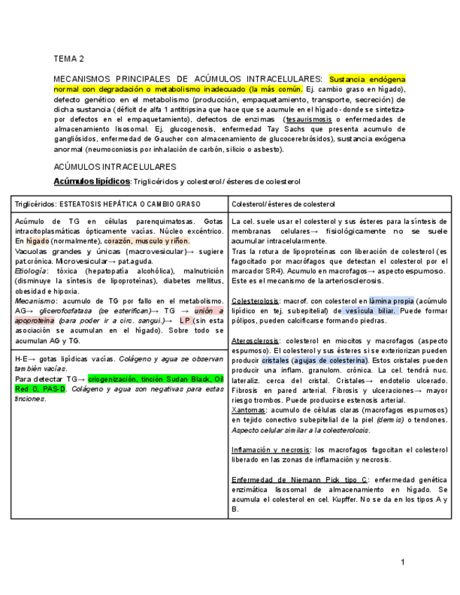 Miniatura del documento Tema-2.pdf