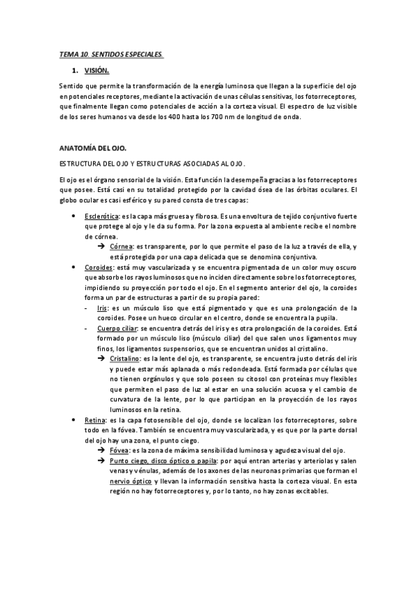 Miniatura del documento TEMA 10. SENTIDOS ESPECIALES. VISIÓN.pdf