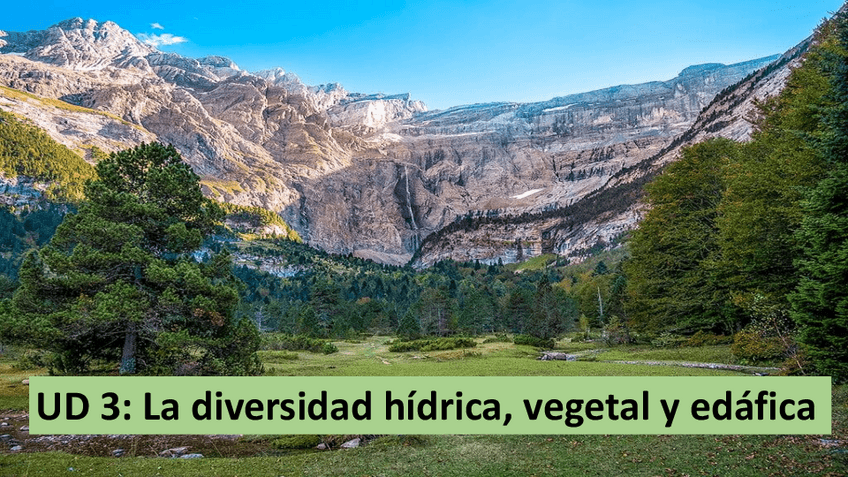 Miniatura del documento TEMA-3-GEOGRAFIA.pdf