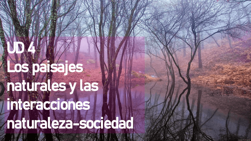 Miniatura del documento TEMA-4-GEOGRAFIA.pdf