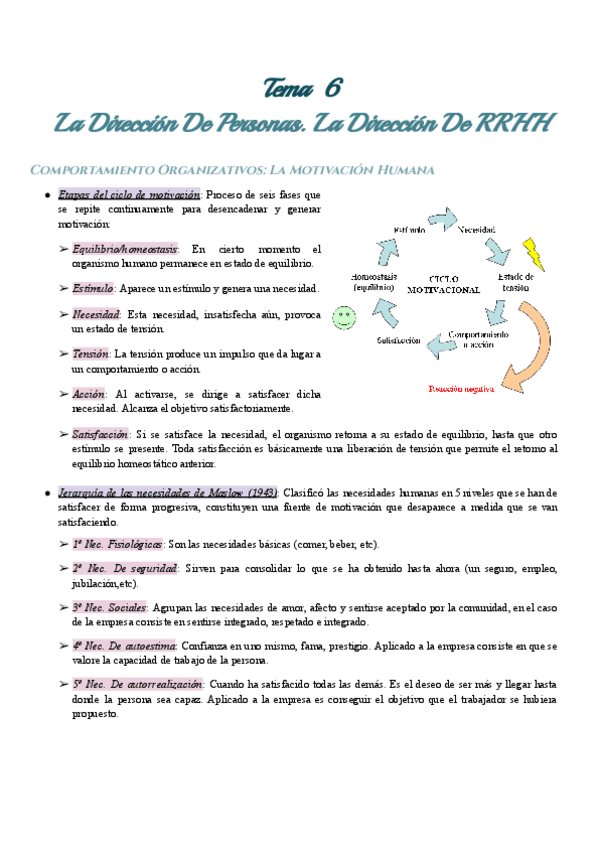 Miniatura del documento Tema-6-La-Direccion-De-Personas.-La-Direccion-De-RRHH.pdf