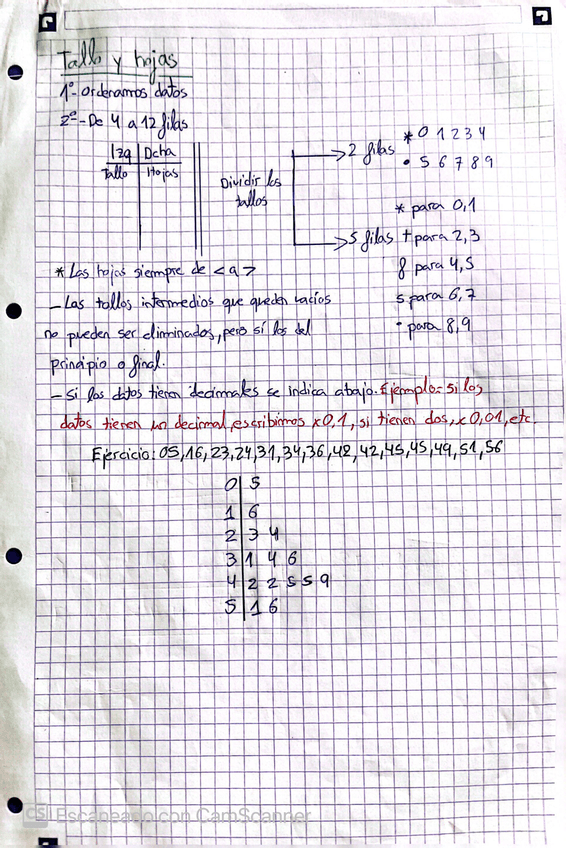 Miniatura del documento IMG8856.jpeg