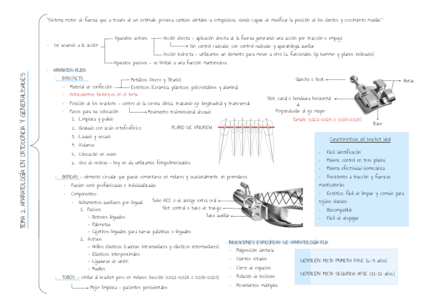 Miniatura del documento ESQUEMAS-ORTODONCIA-TEMAS-2-13.pdf