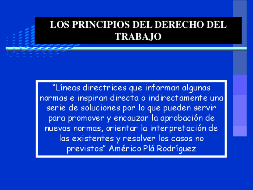 Miniatura del documento 1-PRINCIPIOS-DEL-DERECHO-LABORAL.pdf