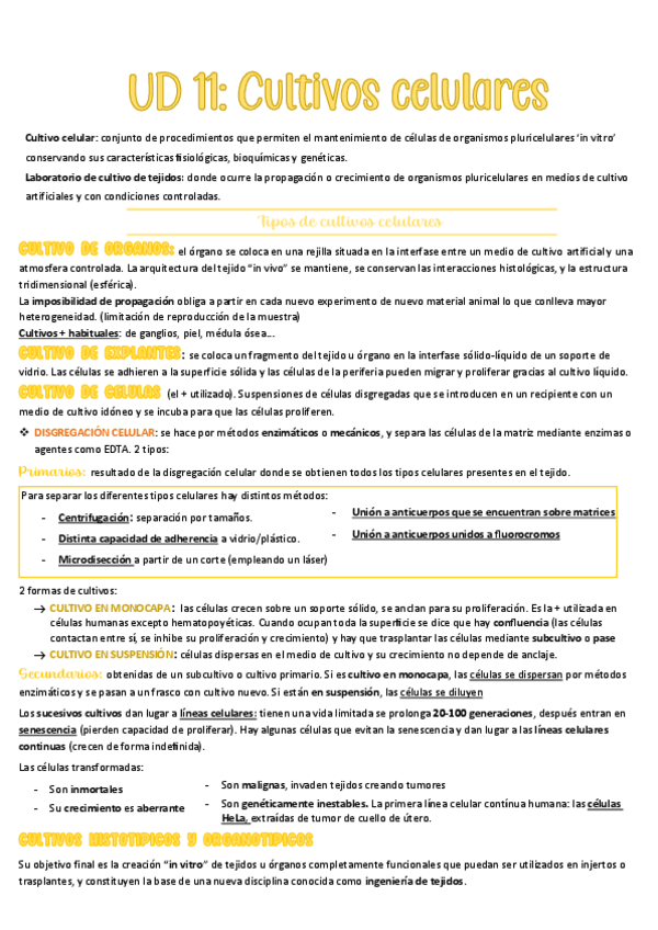 Miniatura del documento Tema-10-BMC.pdf