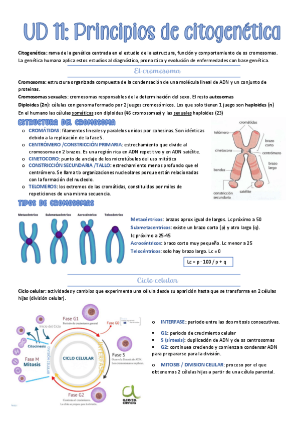 Miniatura del documento tema-11-BMC.pdf