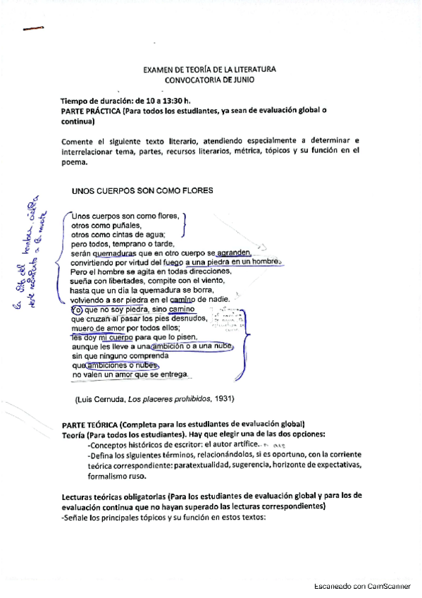 Miniatura del documento Examen-Teoria-de-la-literatura.pdf