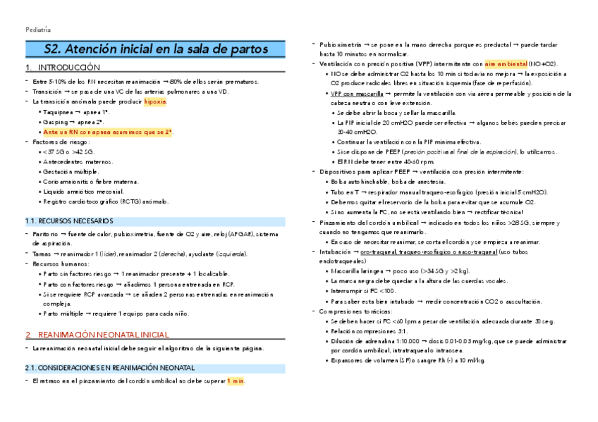 Miniatura del documento S2.-Atencion-partos.pdf