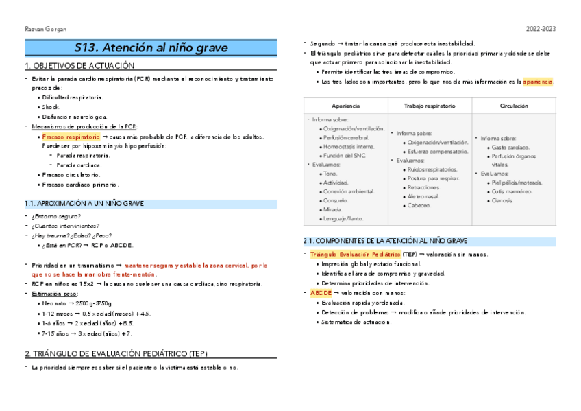 Miniatura del documento S13.-Paciente-grave.pdf