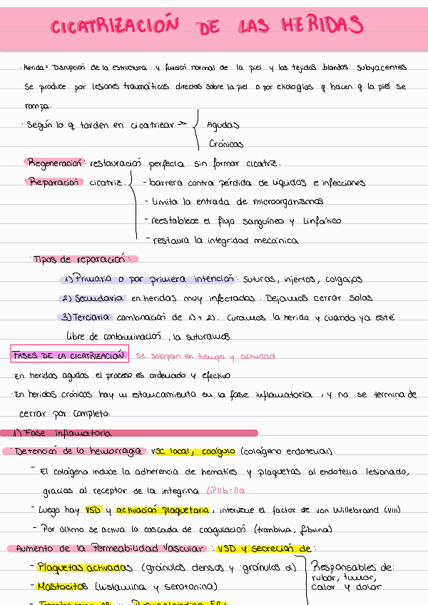 Miniatura del documento Cicatrizacion.pdf