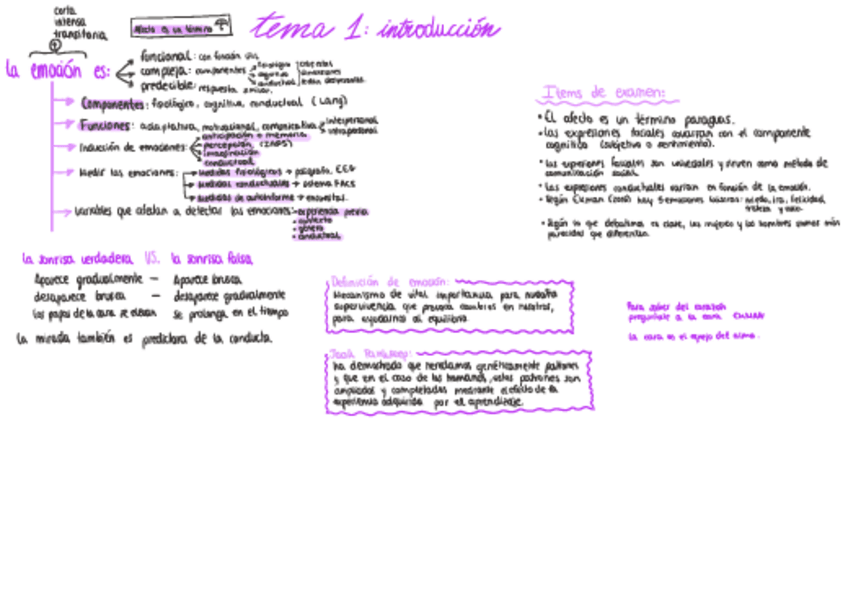 Miniatura del documento esquemas-de-emocion.pdf