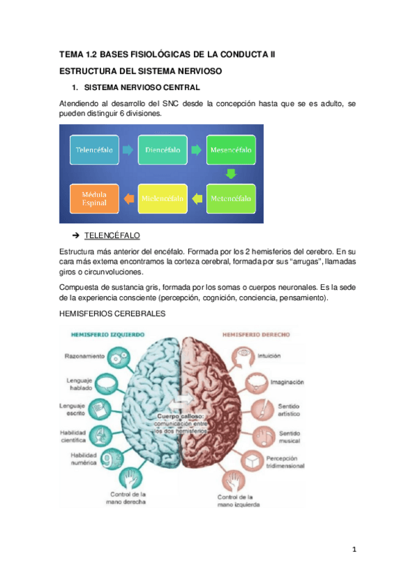 Miniatura del documento 1.2-II-PSICOLOGIA-resumen.pdf